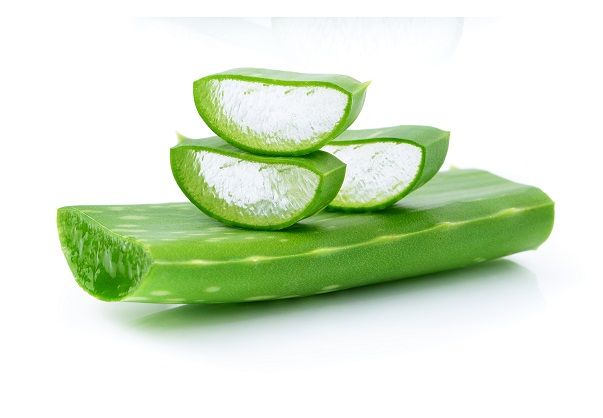 aloe vera 3