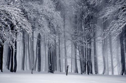 Najboljše Snow Or Winter Baby Names