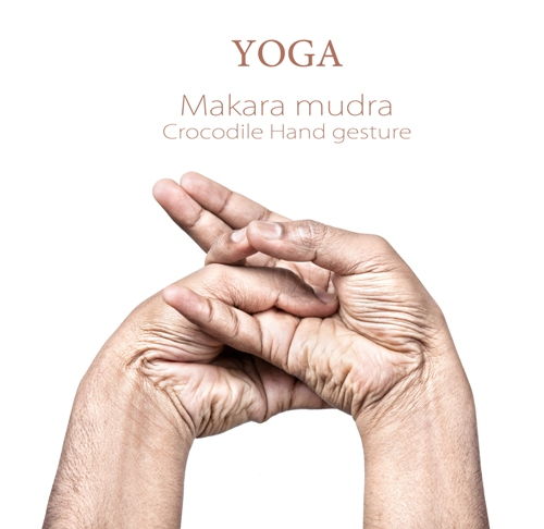 Makara mudra 7653