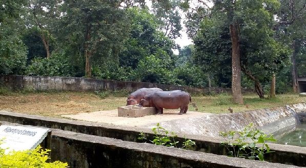 Parcuri-in-Tripura-sipahijola-fauna sălbatică-sanctuar