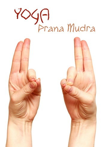 Prana mudra