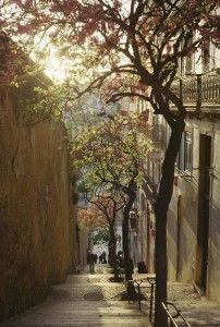 http://besttravelphotos.me/2013/06/28/stairway-lisbon-portugal/