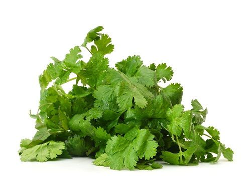 Coriander Powder