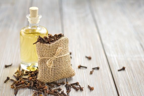 Clove Oil