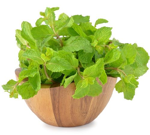 Peppermint Leaves