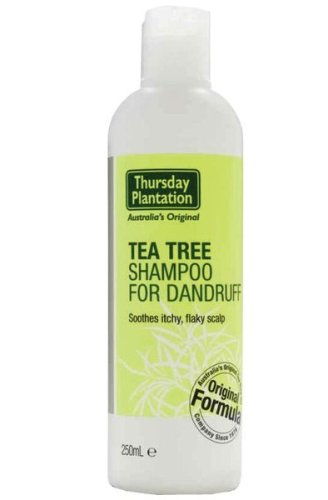 Tea Tree Oil Shampoo