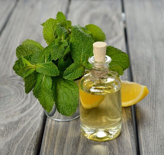 Mentă oil and Lemon