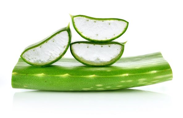 Aloe vera 6