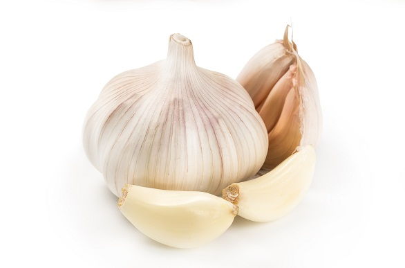 Garlic 8