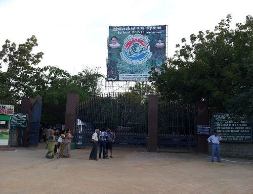 Medeni mesec Places In Hyderabad - Kasu Brahmananda Reddy National Park