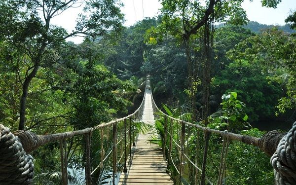 medeni mesec-mesta-na-a-budget_coorg-karnataka