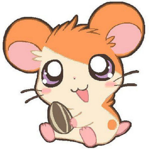 Hamtaro (Hamtaro)